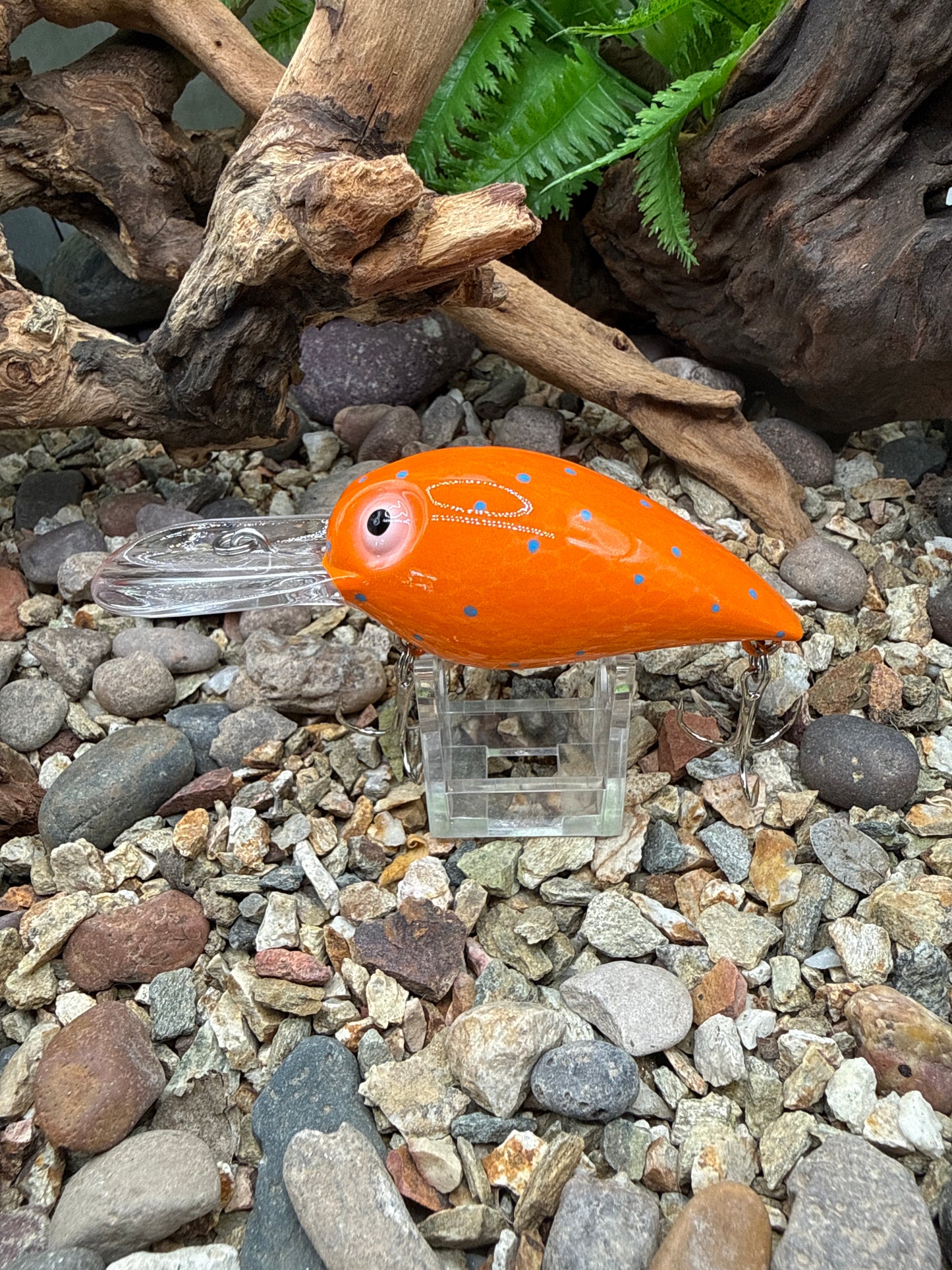 JKB DD Wiggle Wart