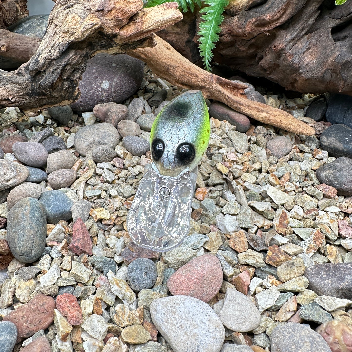 JKB OG Wiggle Wart