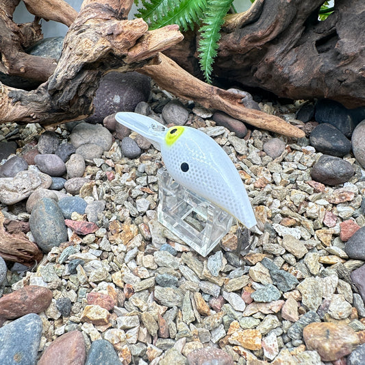 JKB OG Wiggle Wart