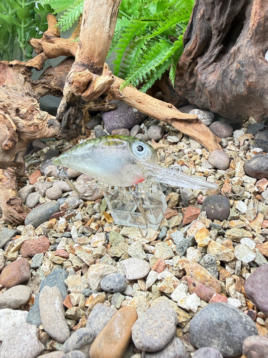 JKB DD Wiggle Wart