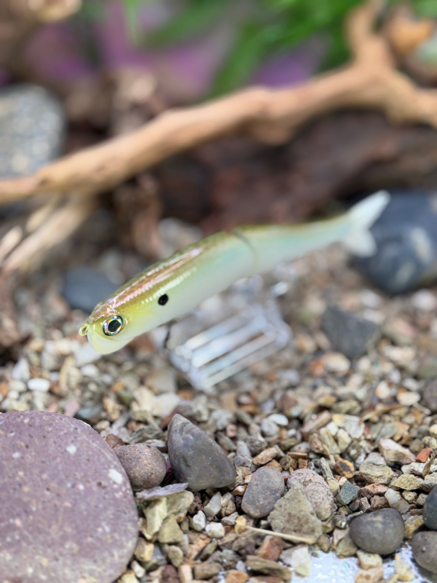 Seadrive Shad