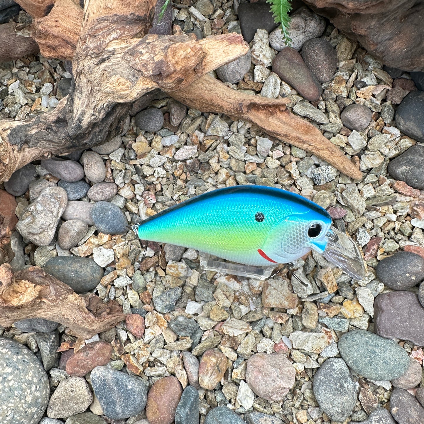 JKB 2.5 SB