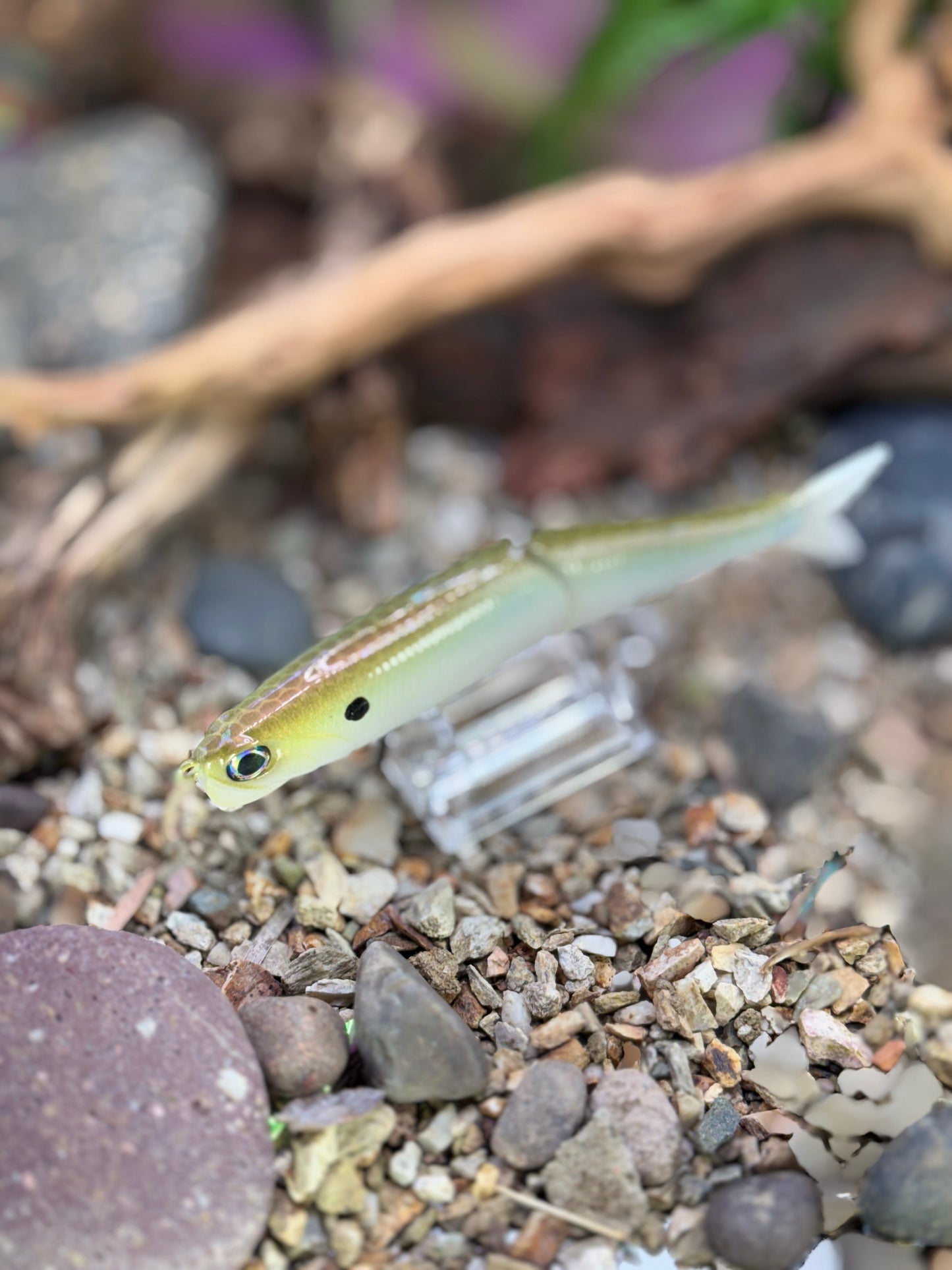 Seadrive Shad