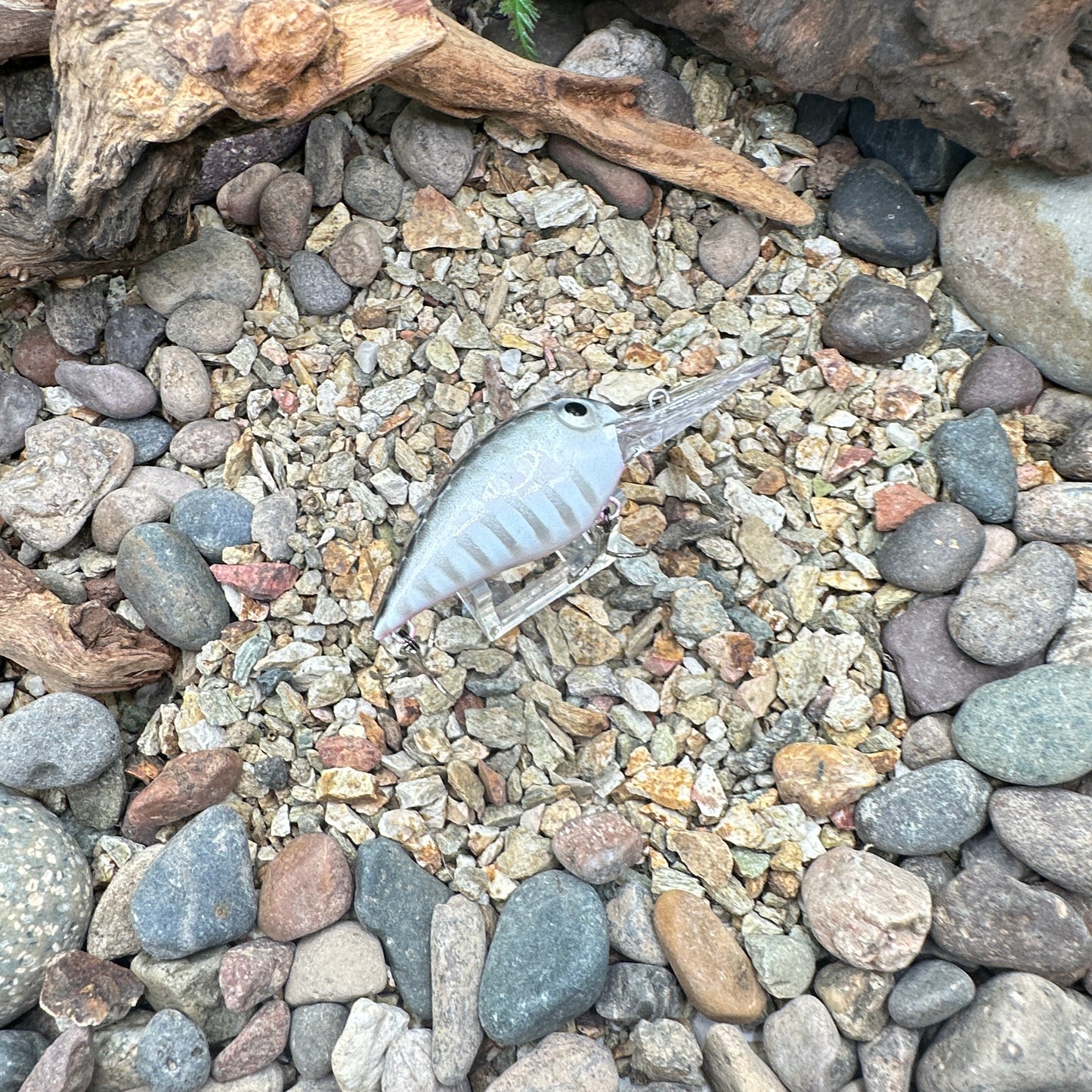 JKB OG Wiggle Wart