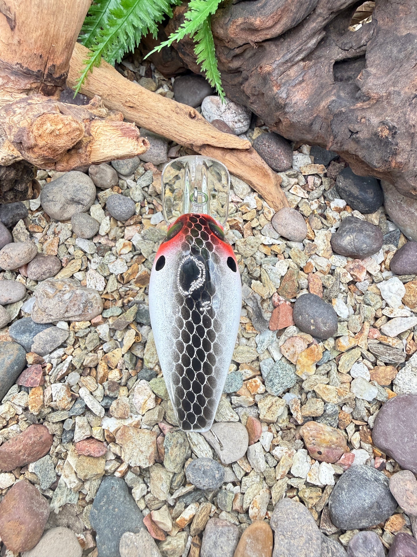 JKB DD Wiggle Wart *guaranteed to catch*