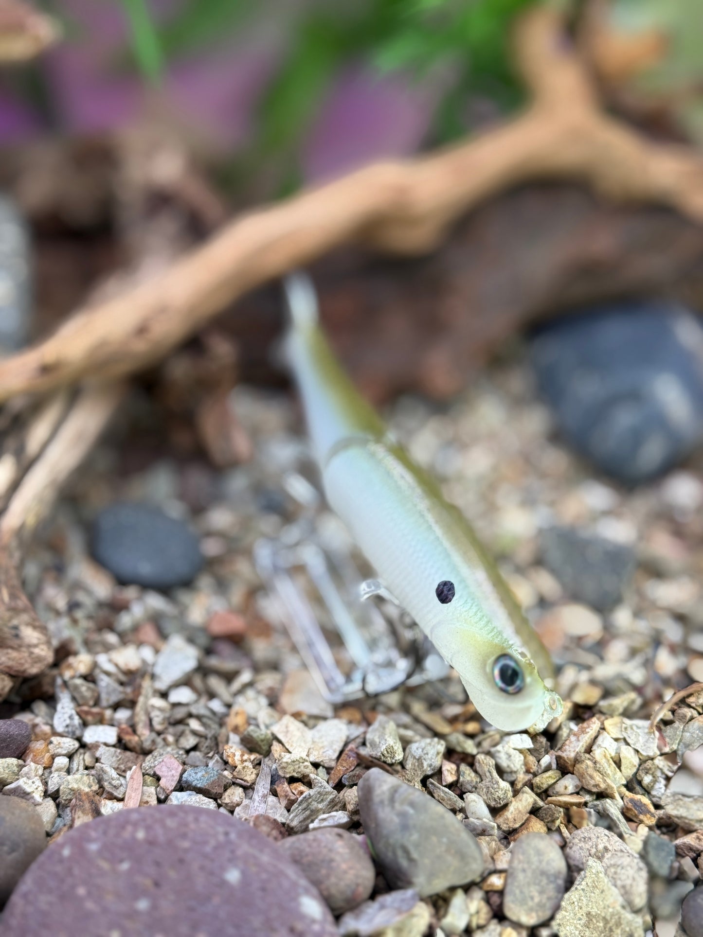 Seadrive Shad