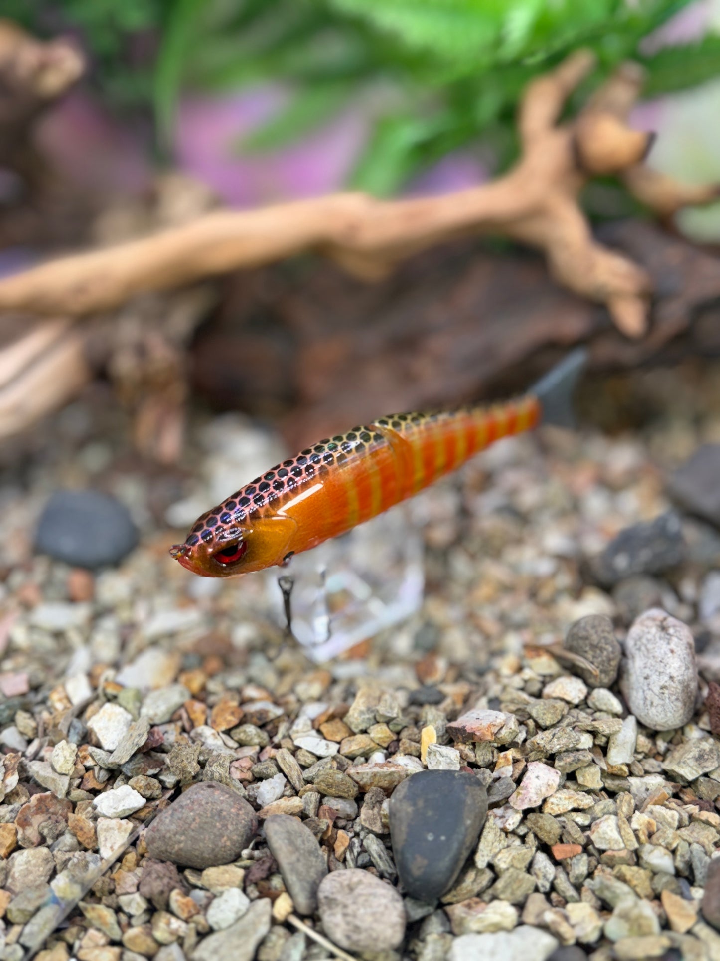 JKB Mini Arashi