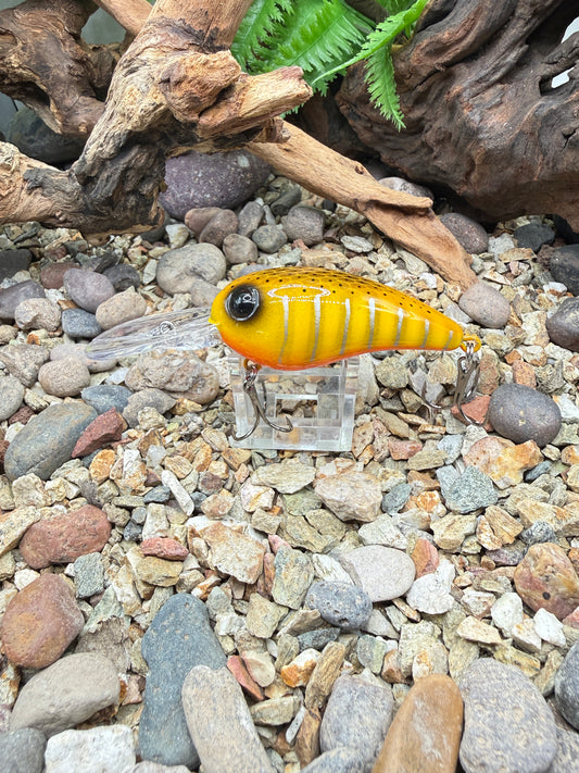 JKB MD Wiggle Wart