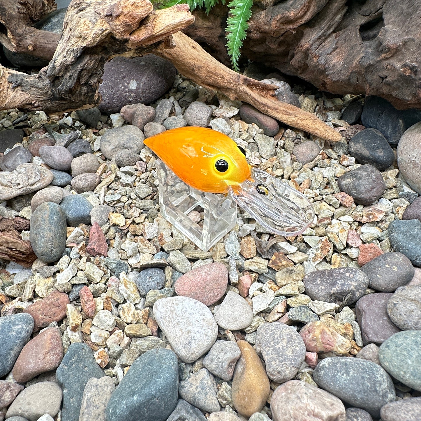 JKB OG Wiggle Wart