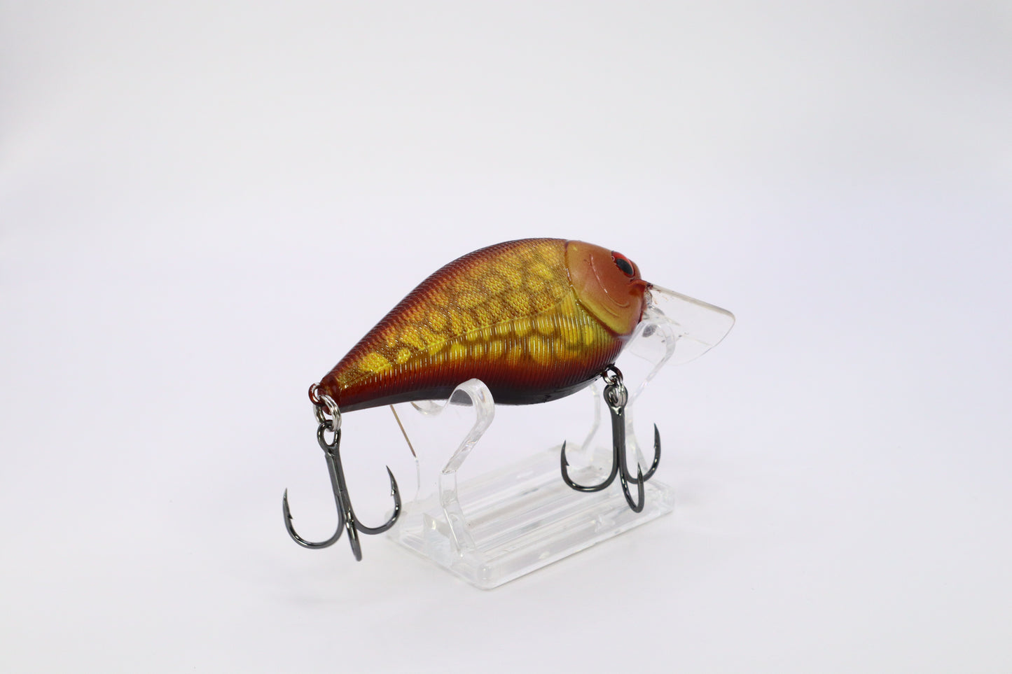 2.5 Squarebill