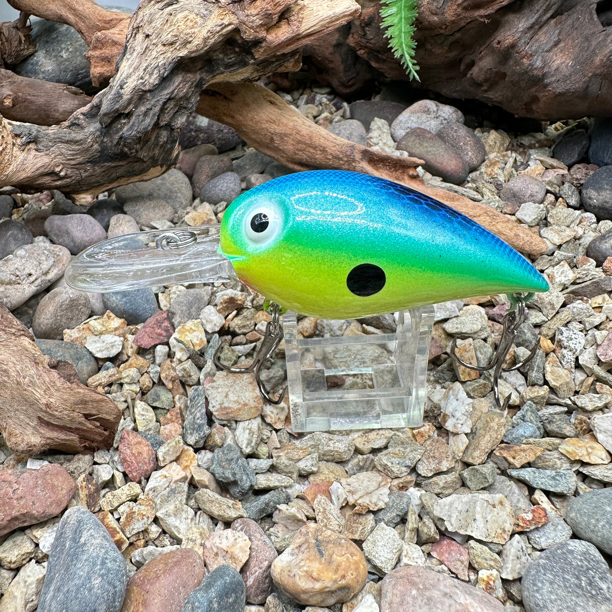 Wiggle Warts
