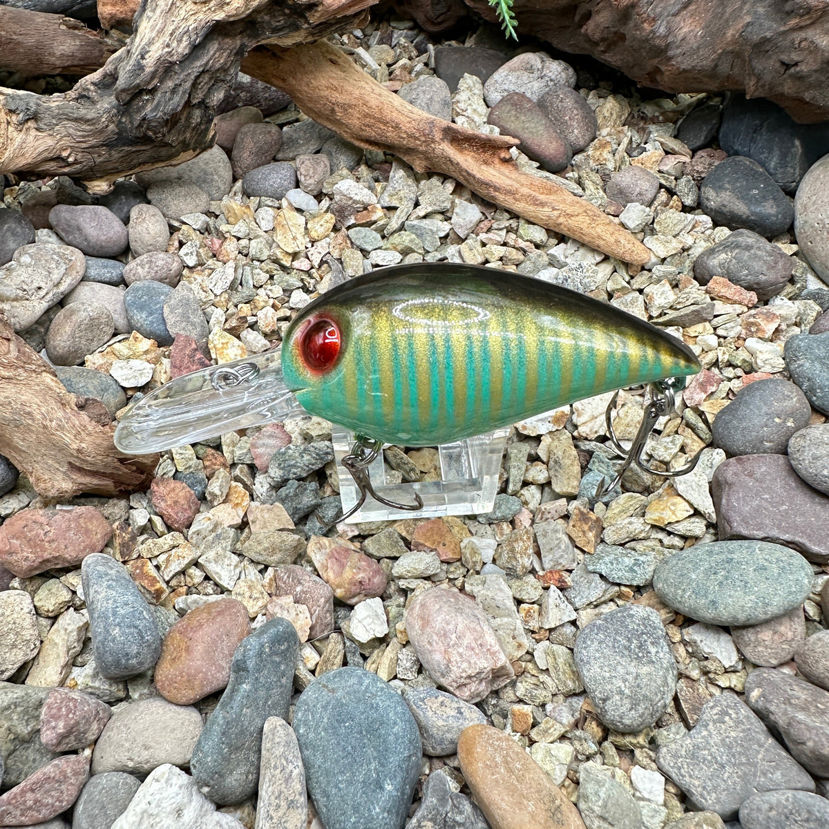 Bay Baits