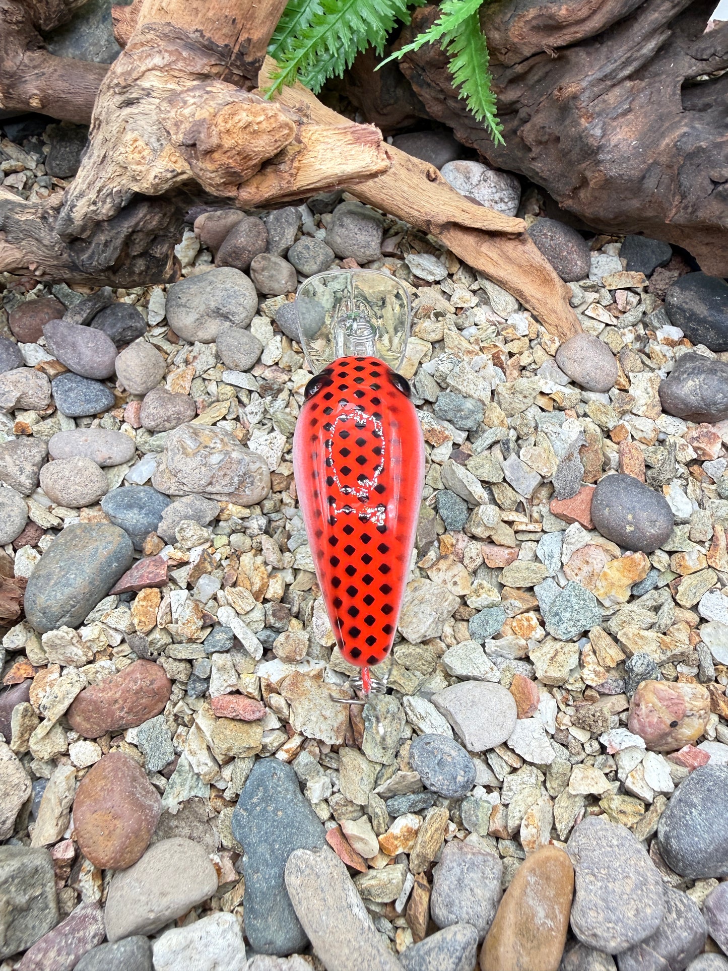 JKB Wiggle Wart S Dread Red