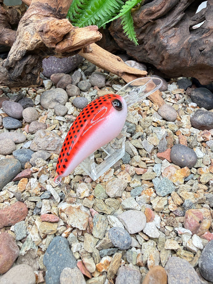 JKB Wiggle Wart S Dread Red