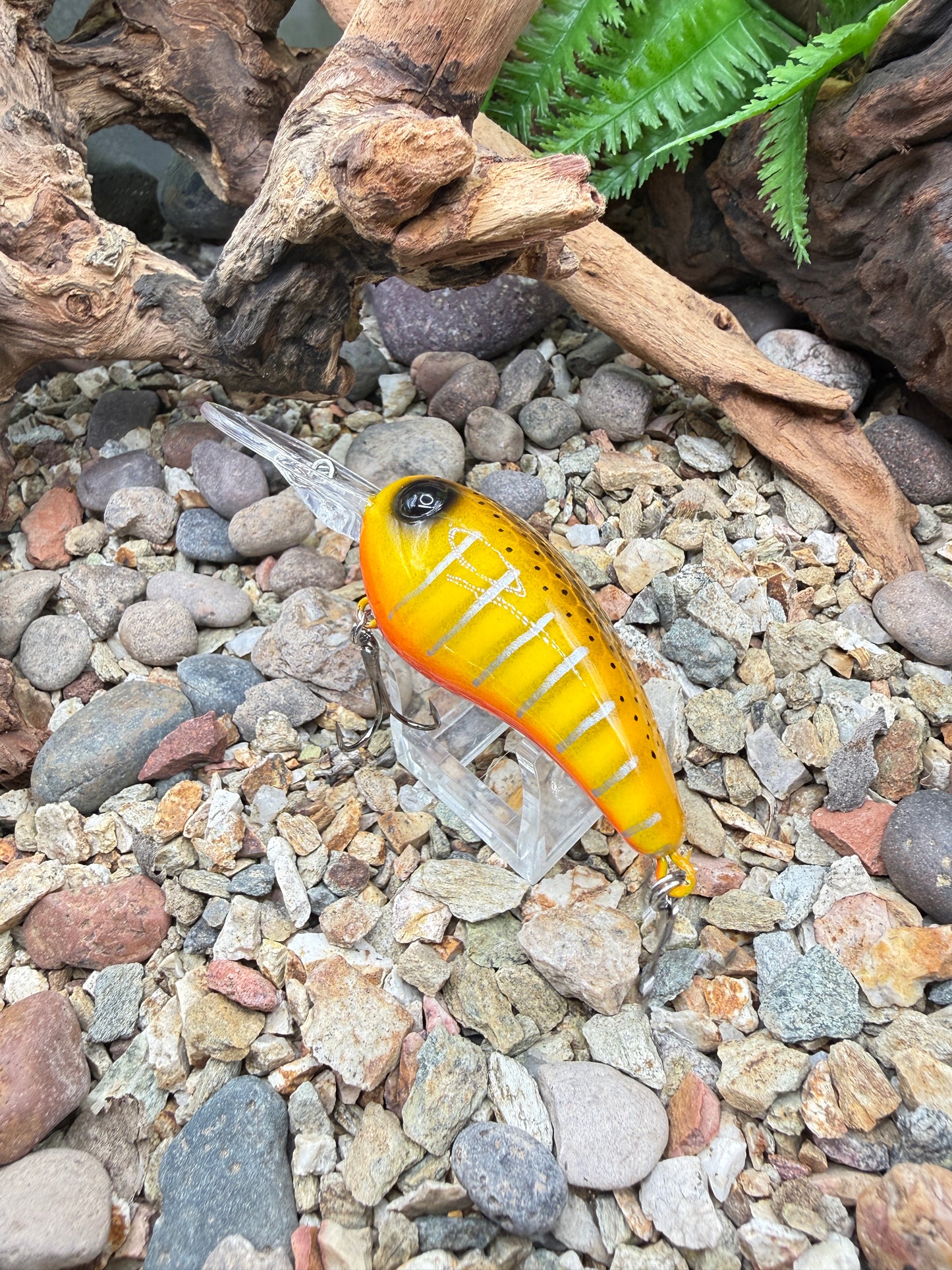 JKB MD Wiggle Wart