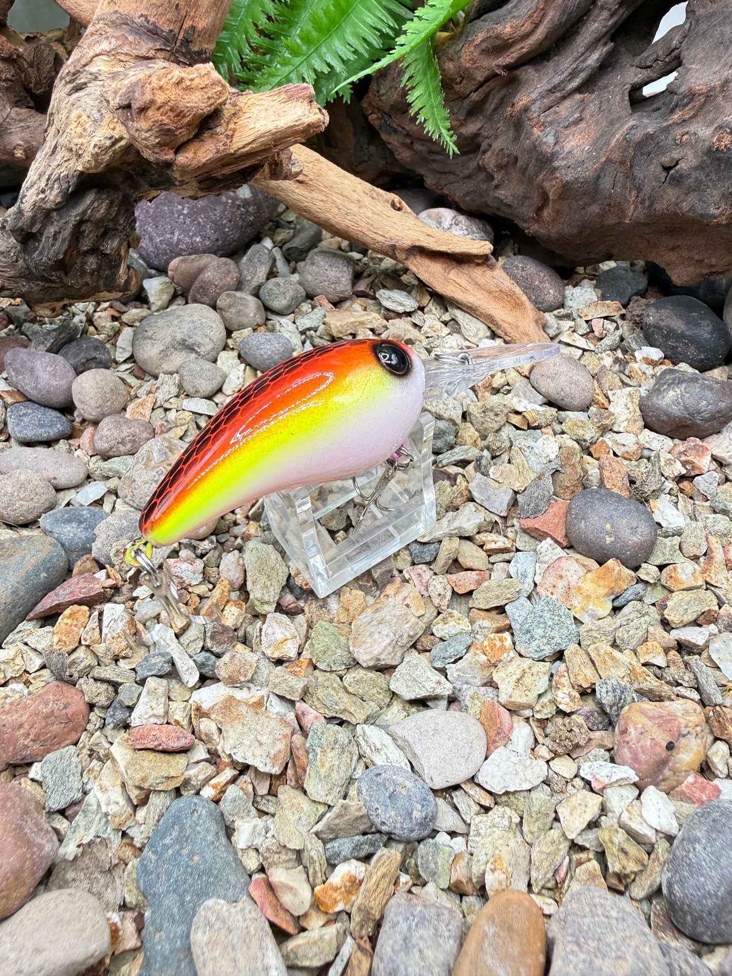 JKB MD Wiggle Wart Sunset Dread
