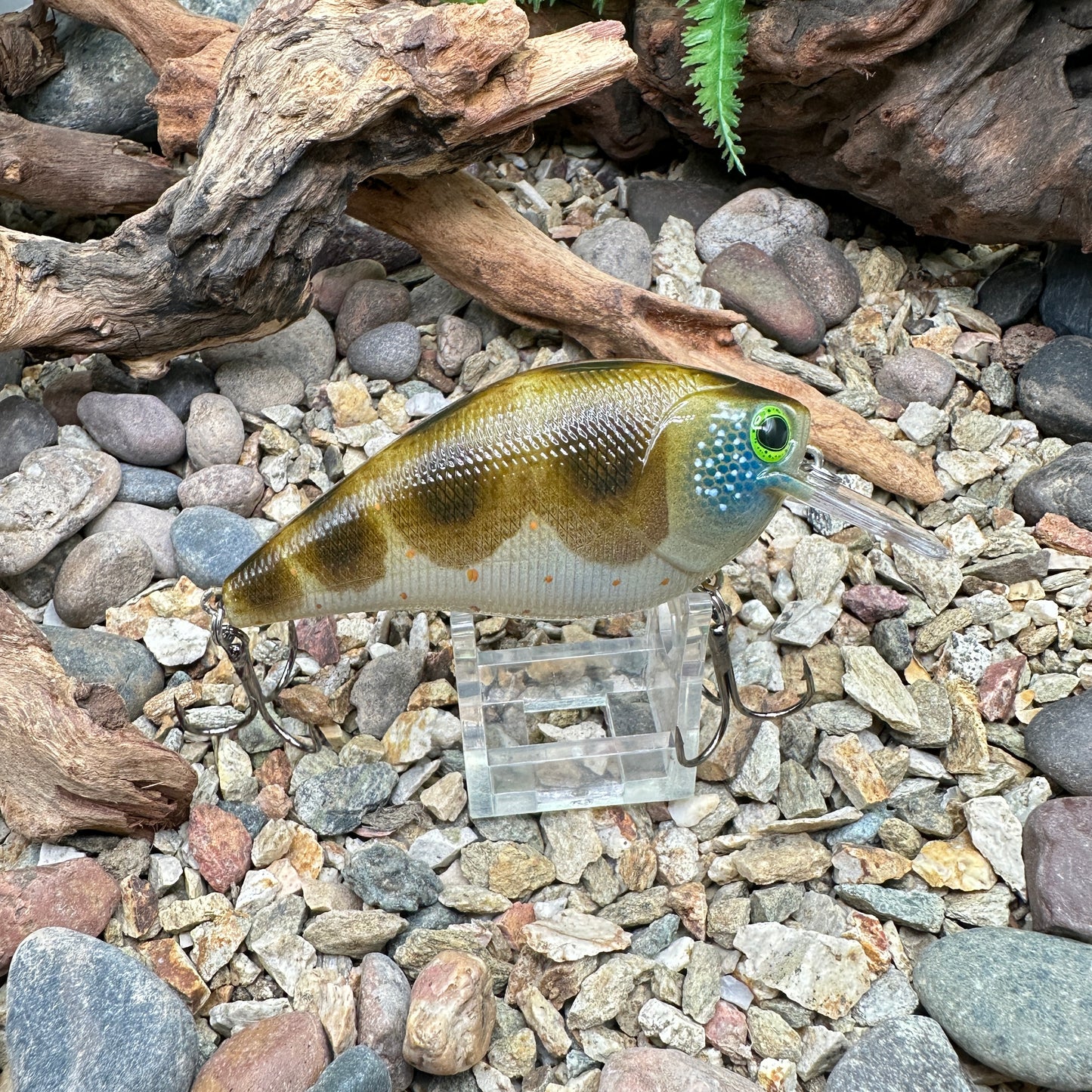 JKB 2.5 SB