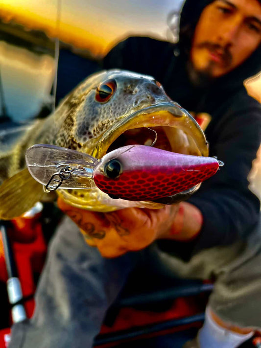 JKB DD Wiggle Wart - S-Dread Red