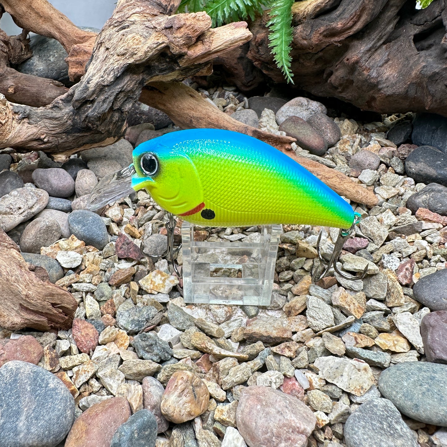 JKB 2.5 SB
