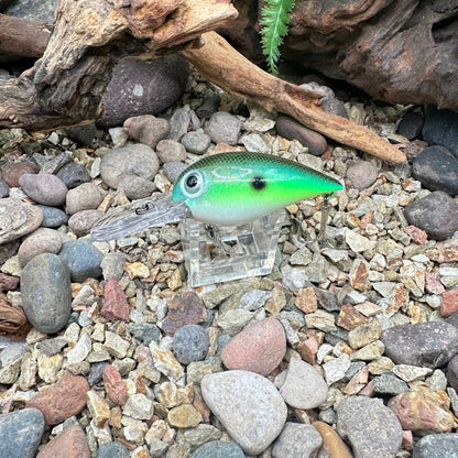 JKB OG Wiggle Wart