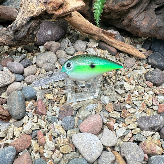 JKB OG Wiggle Wart