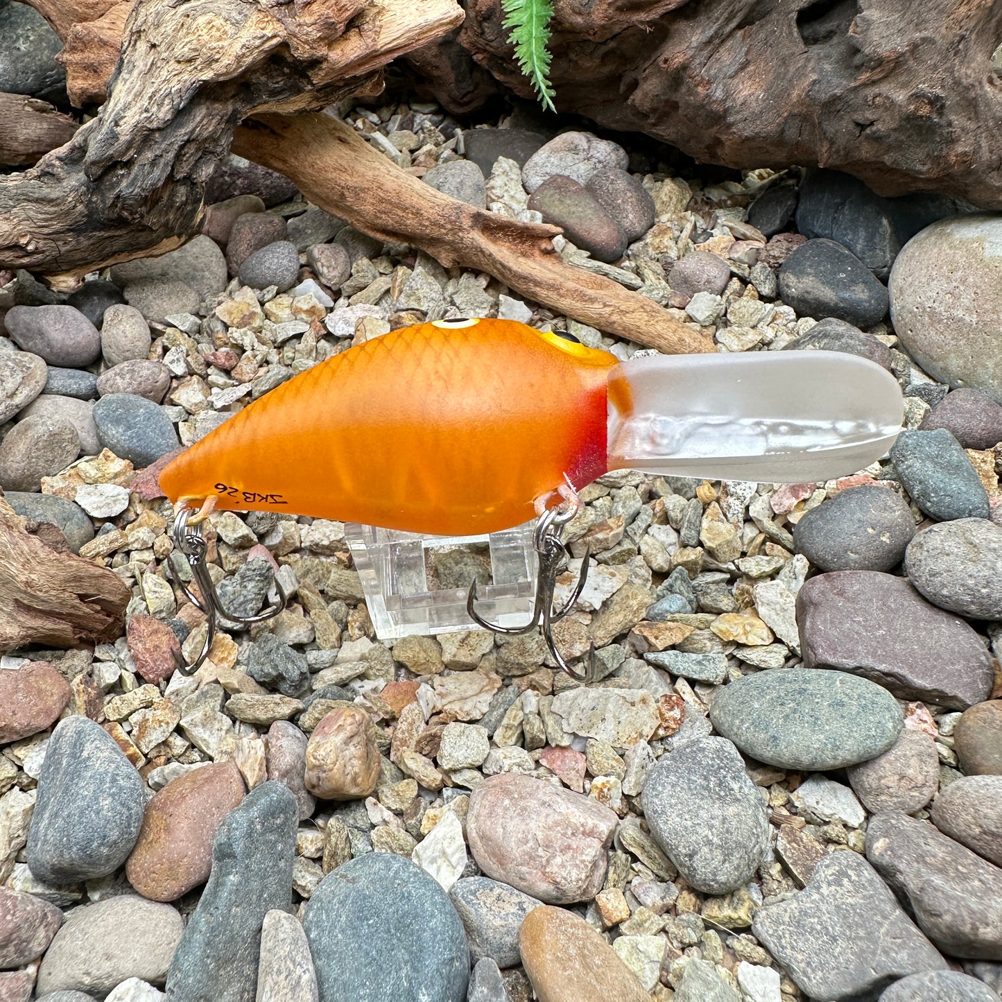 JKB DD Wiggle Wart