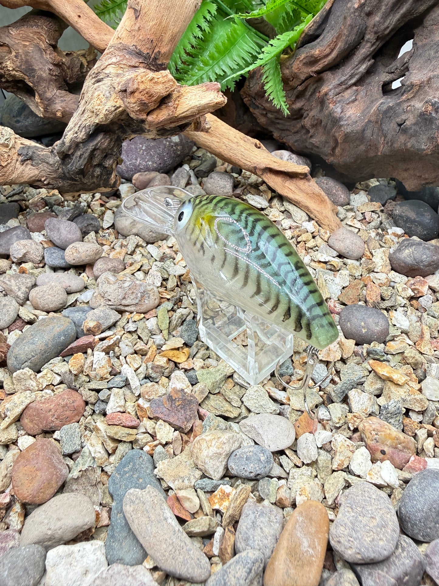 JKB DD Wiggle Wart