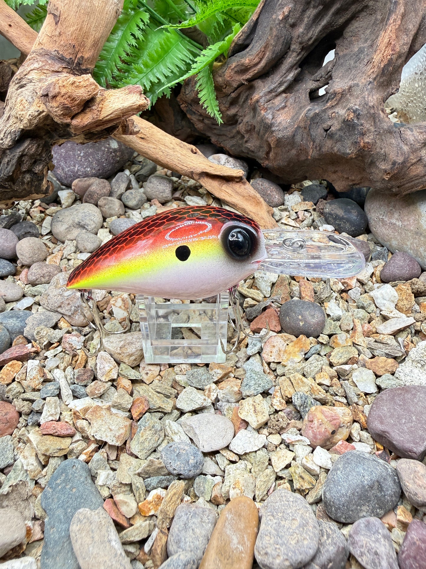 JKB DD Wiggle Wart Sunset Dread