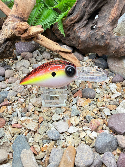JKB DD Wiggle Wart Sunset Dread