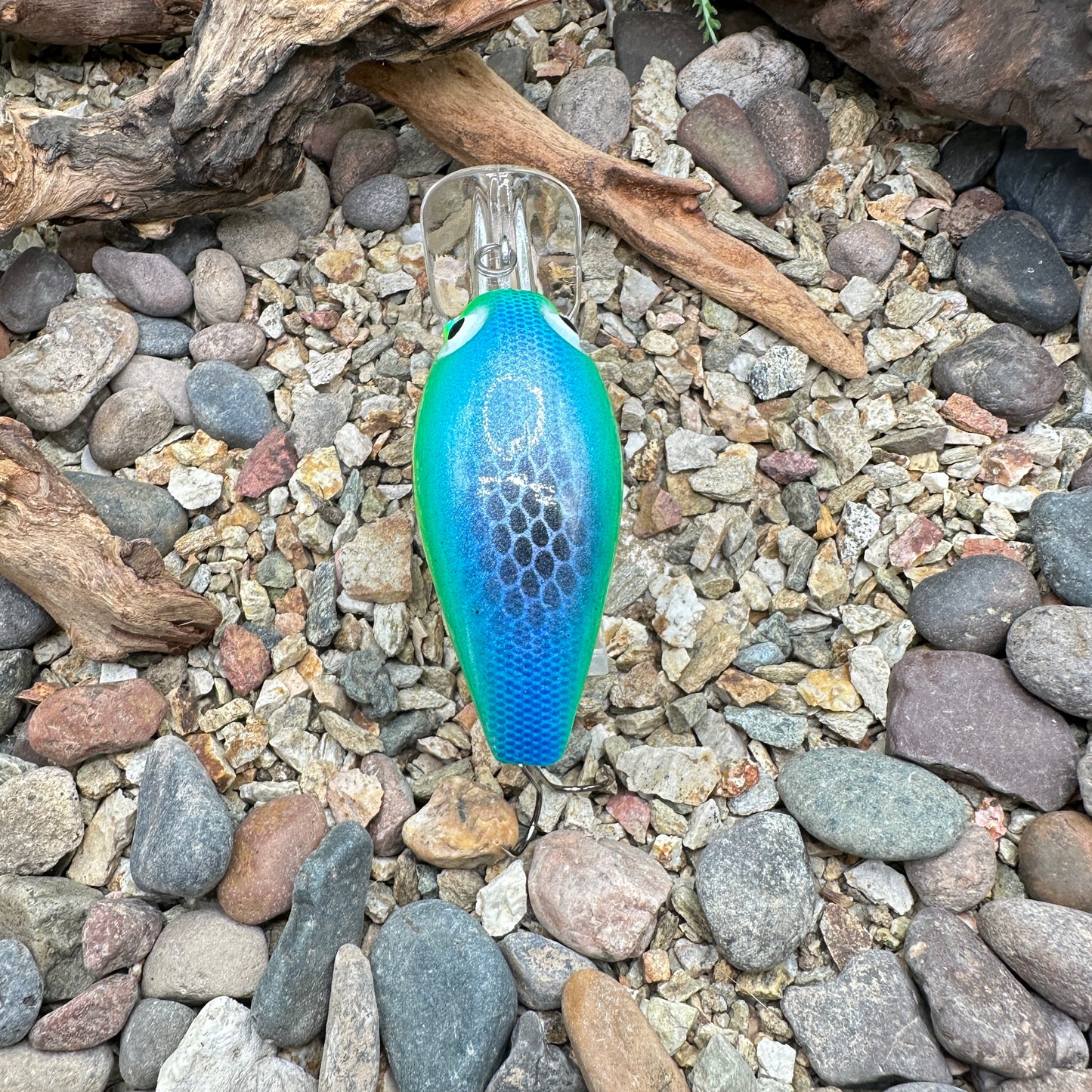 JKB DD Wiggle Wart