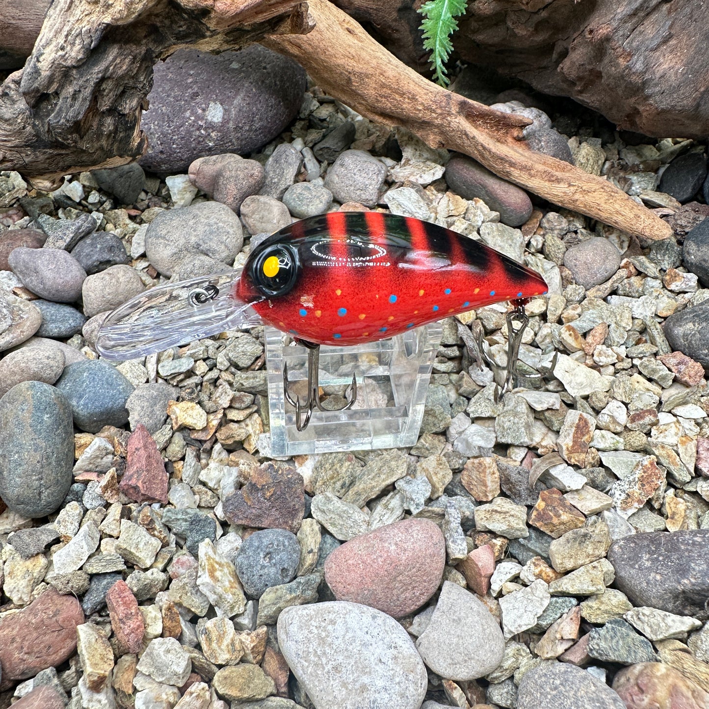 JKB OG Wiggle Wart