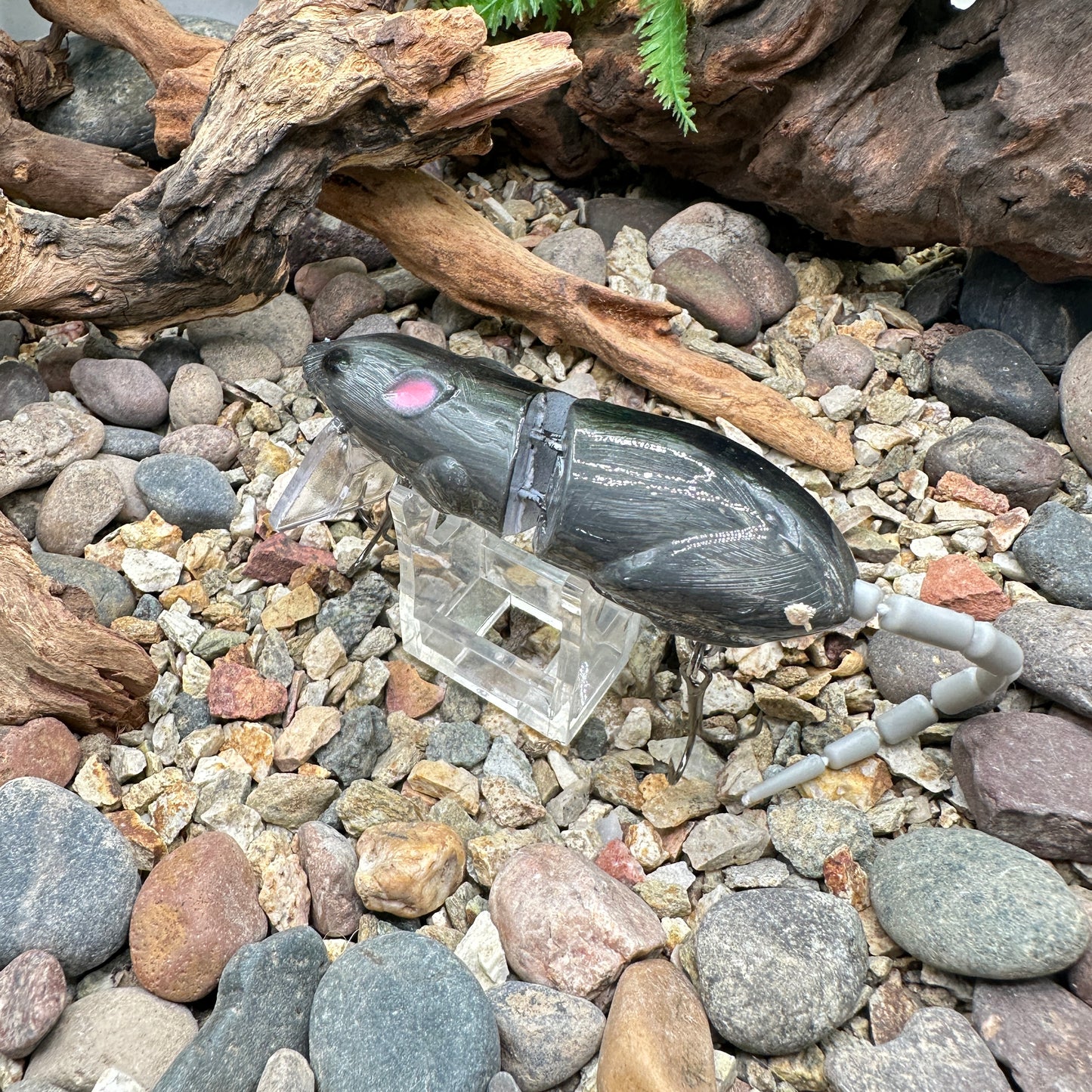 JKB Mini Wake Rat