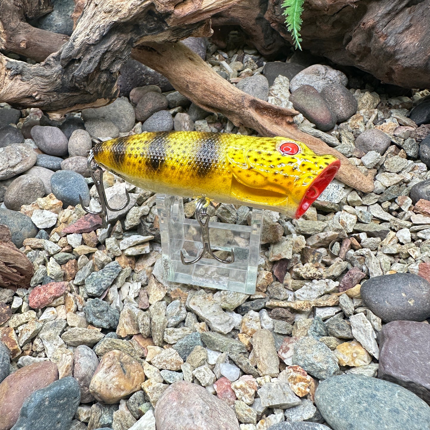 JKB Spash pop