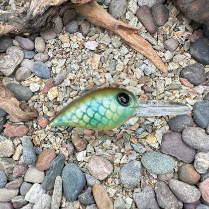 JKB DD Wiggle Wart