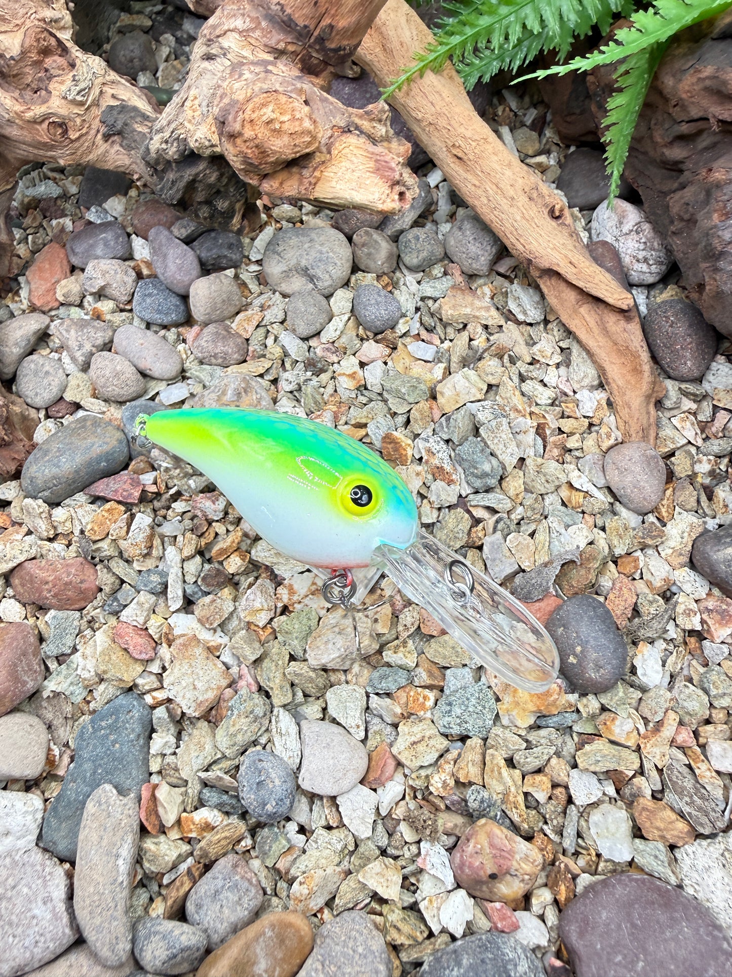 JKB MD Wiggle Wart