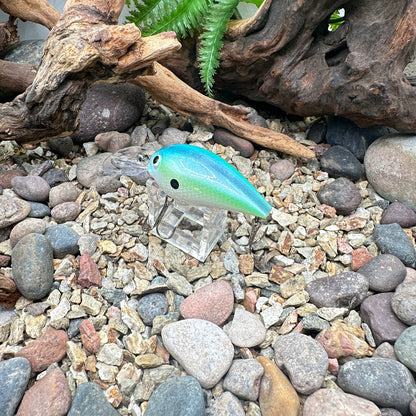JKB OG Wiggle Wart