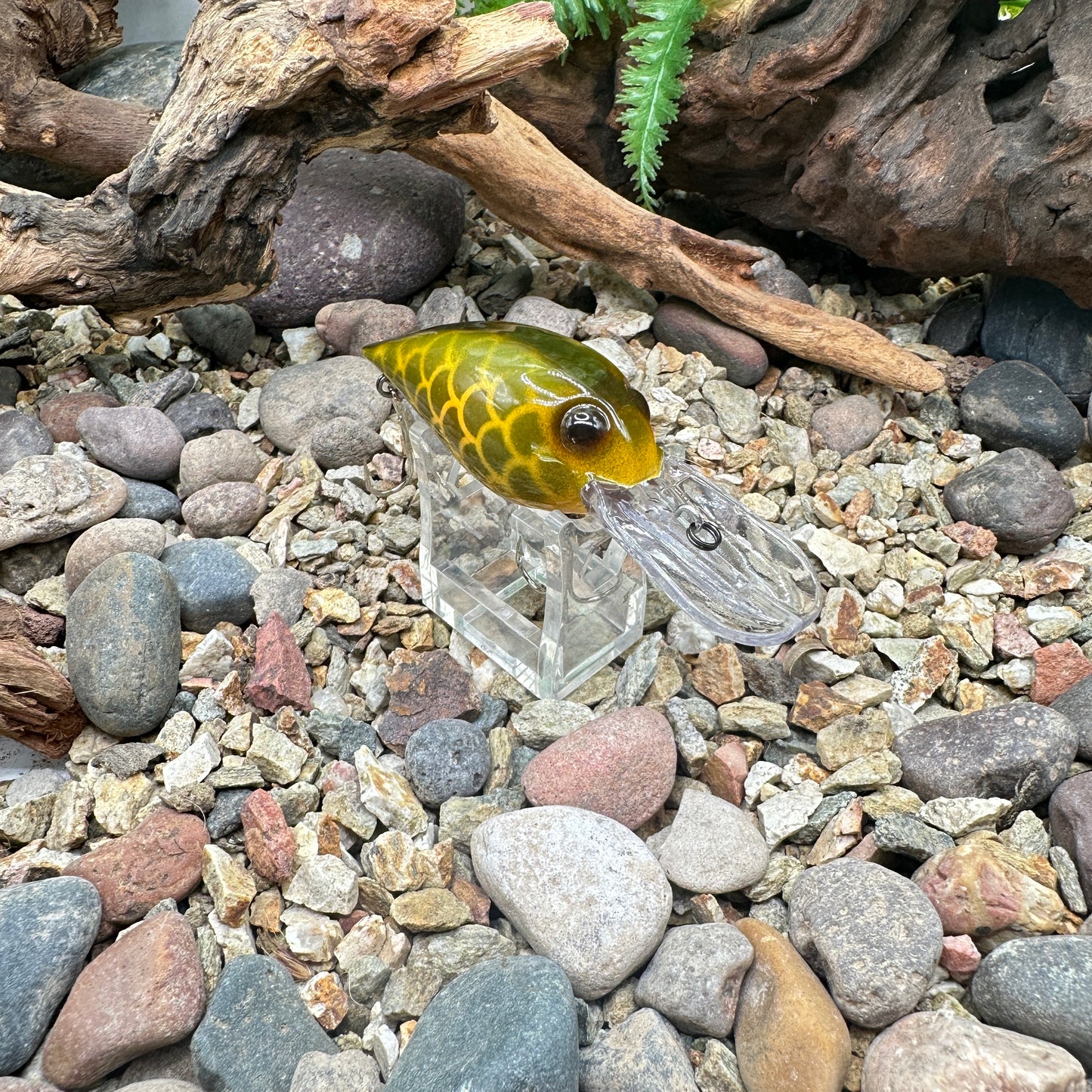 JKB OG Wiggle Wart