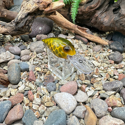 JKB OG Wiggle Wart