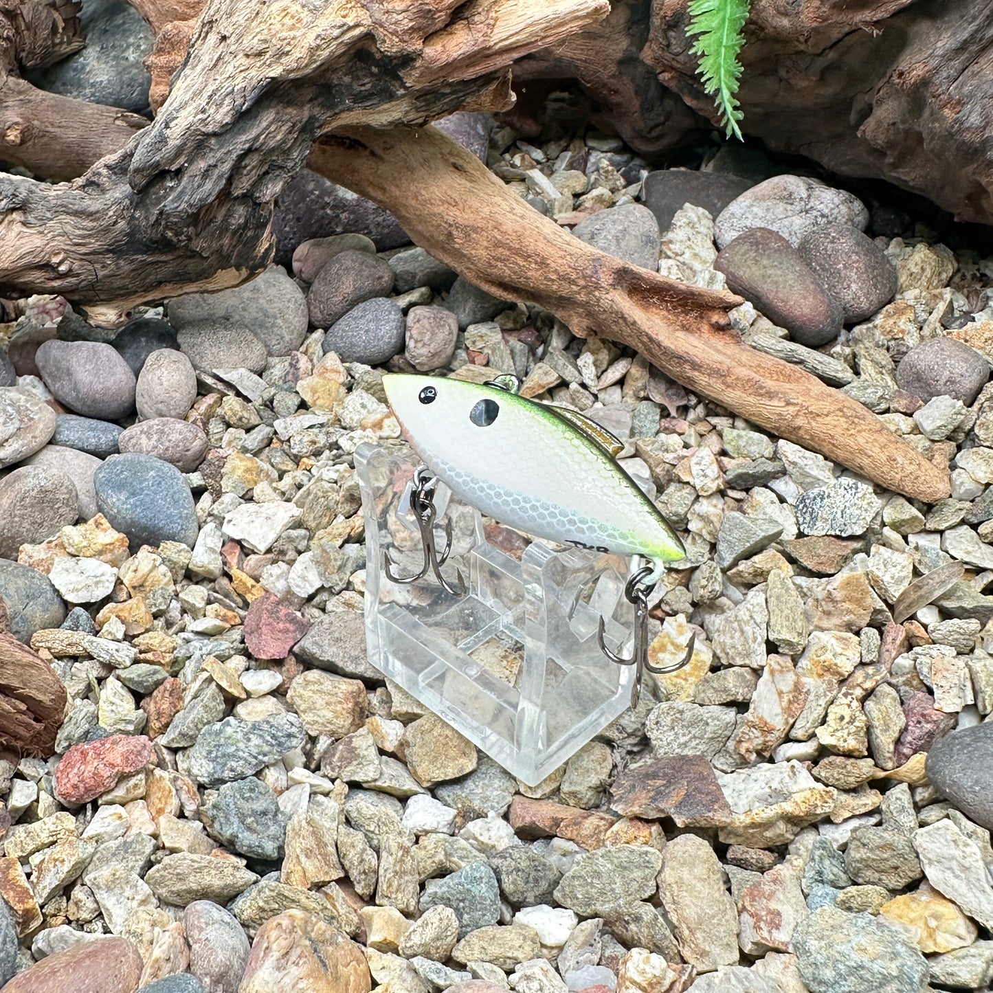 JKB Tiny Trap