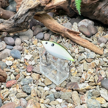 JKB Tiny Trap