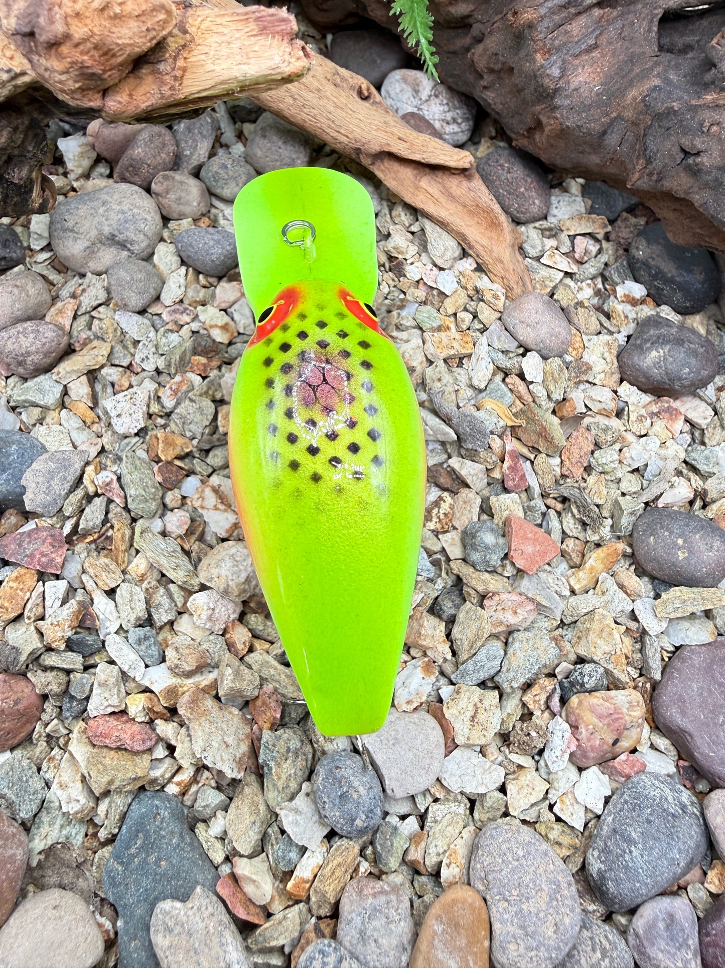 Nuked Dread DD Wart