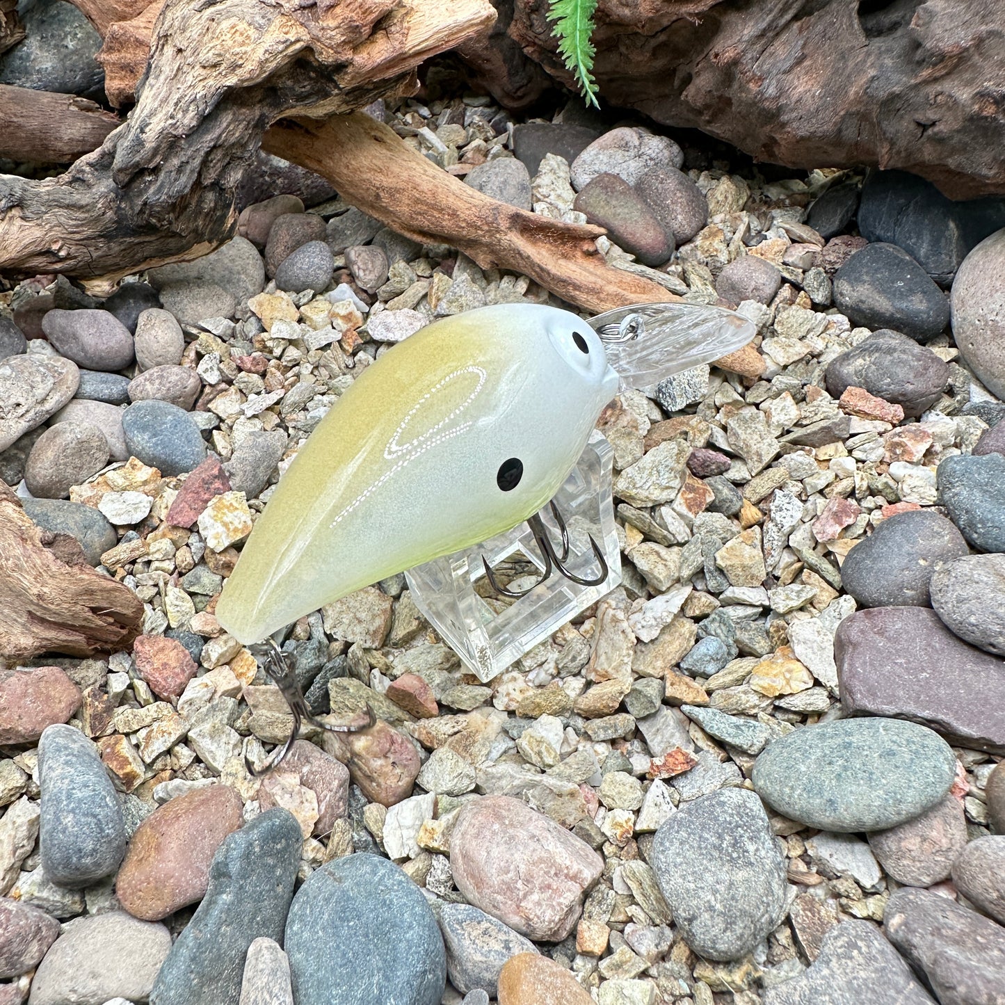 JKB DD Wiggle Wart