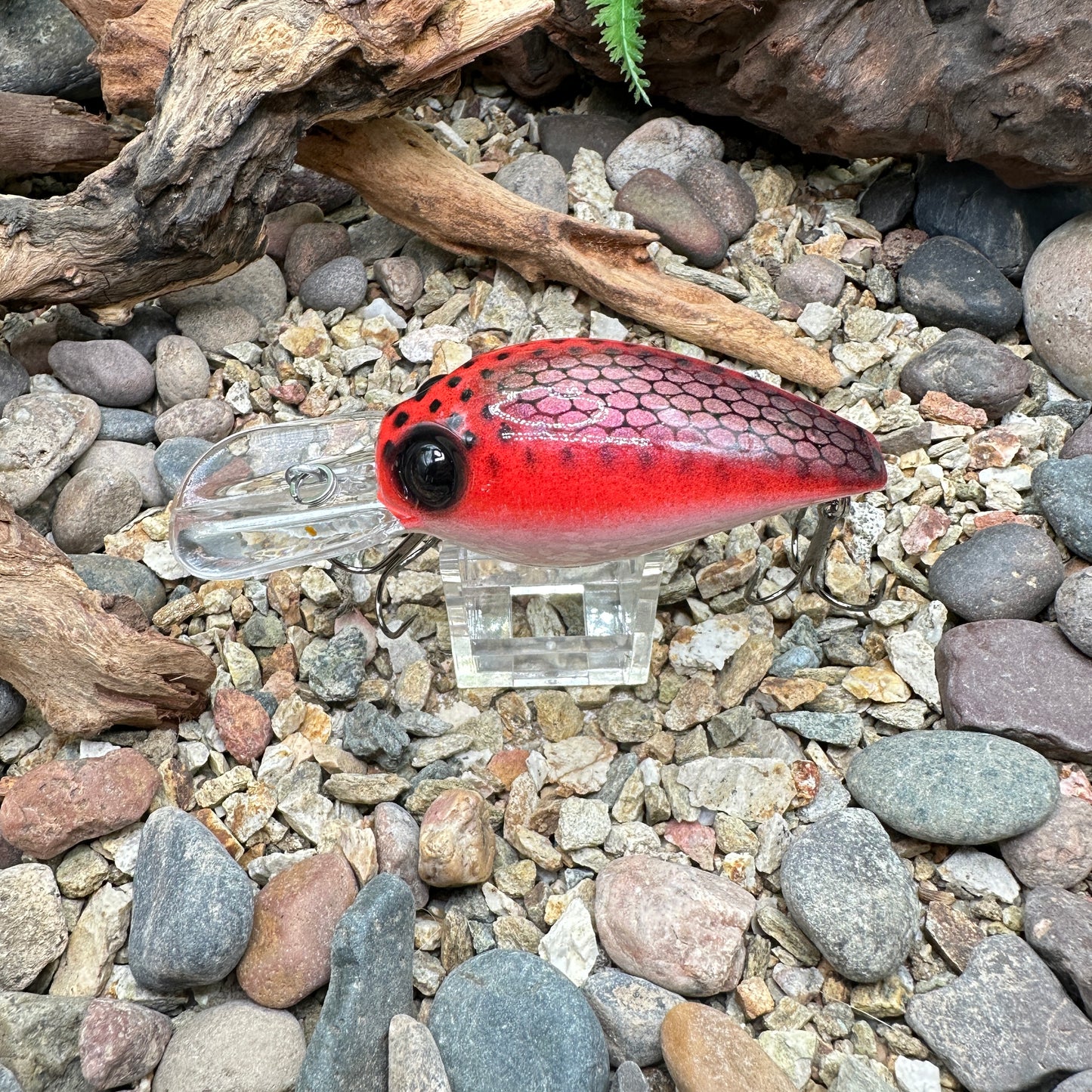 JKB DD Wiggle Wart