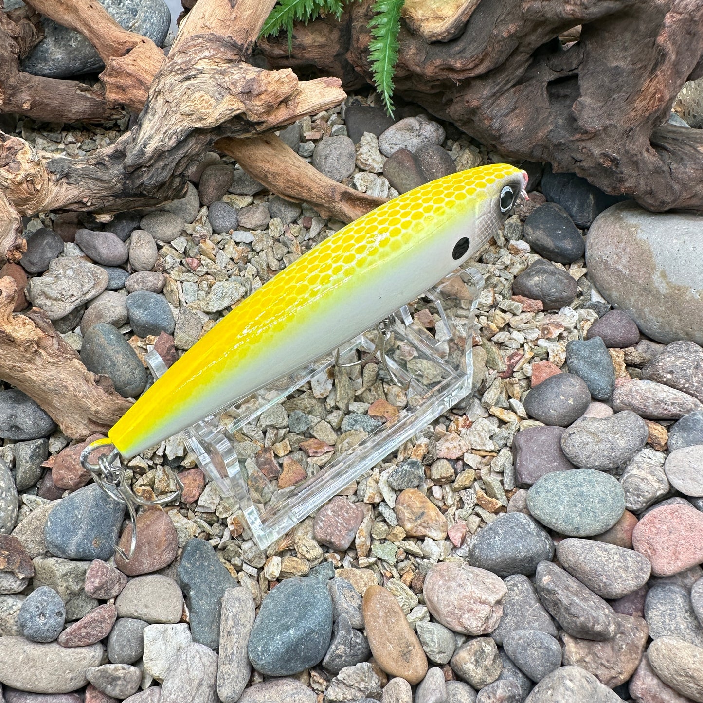 Shimano Current Sniper -Repaint