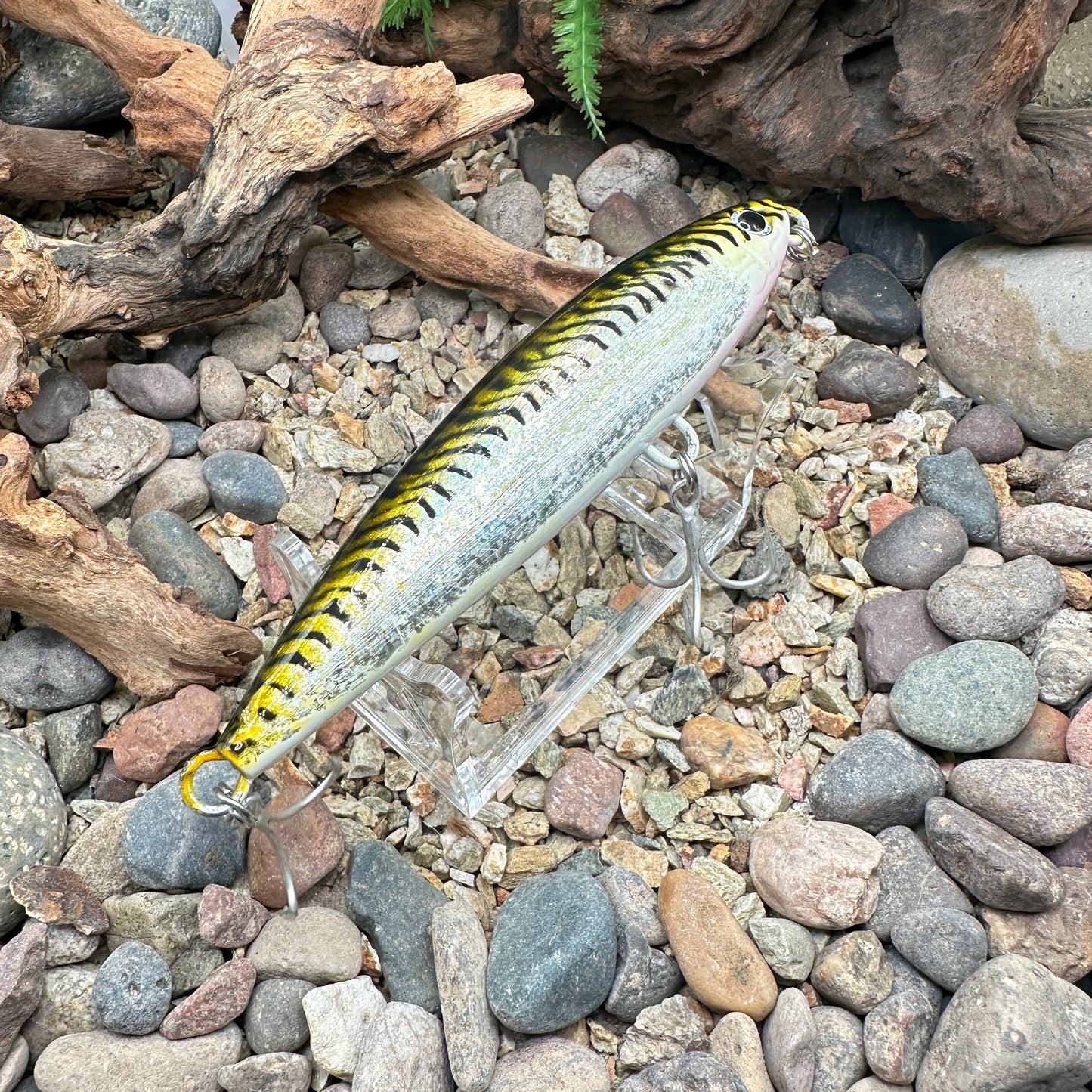 Shimano Current Sniper -Repaint