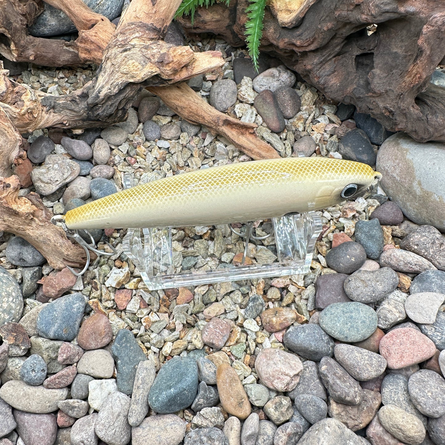 Shimano Current Sniper -Repaint