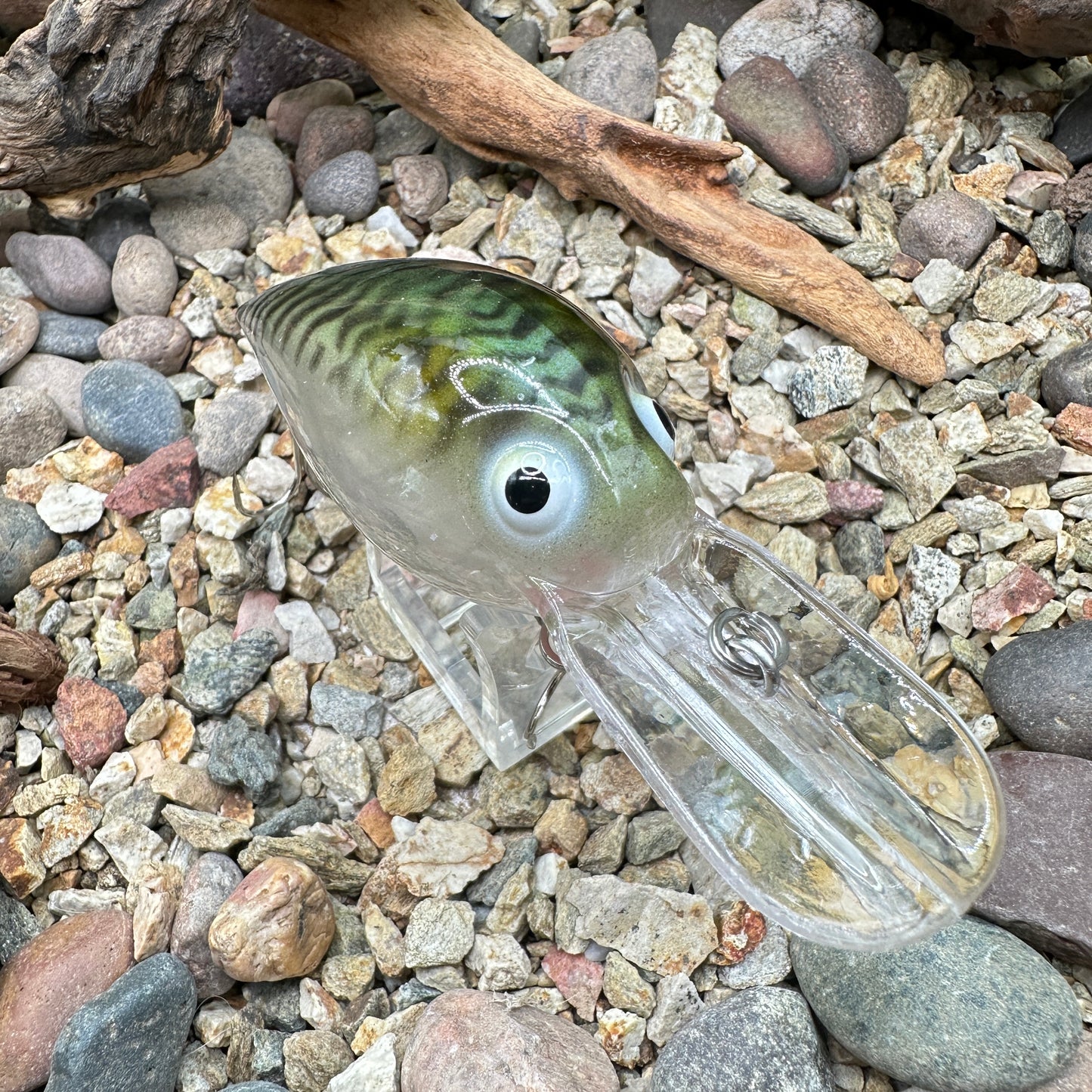JKB DD Wiggle Wart