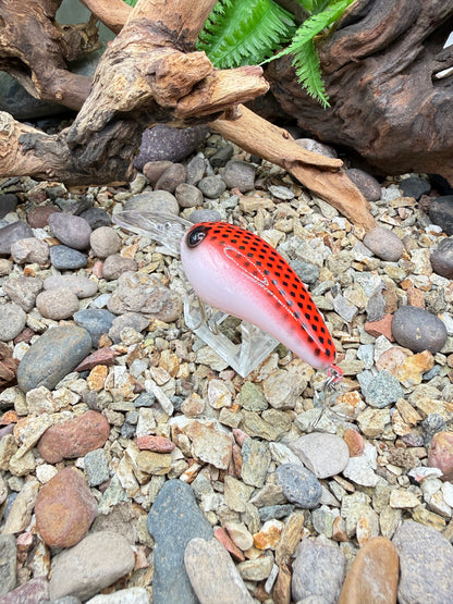 JKB Wiggle Wart S Dread Red