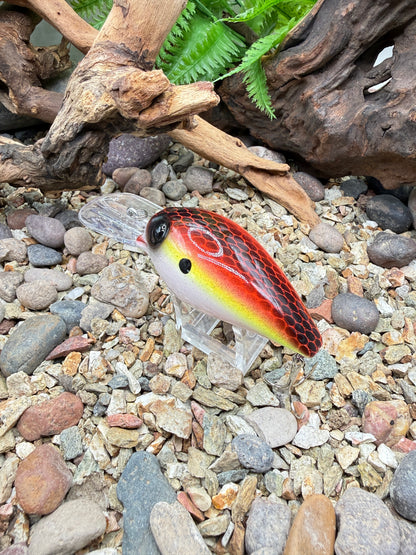 JKB DD Wiggle Wart Sunset Dread