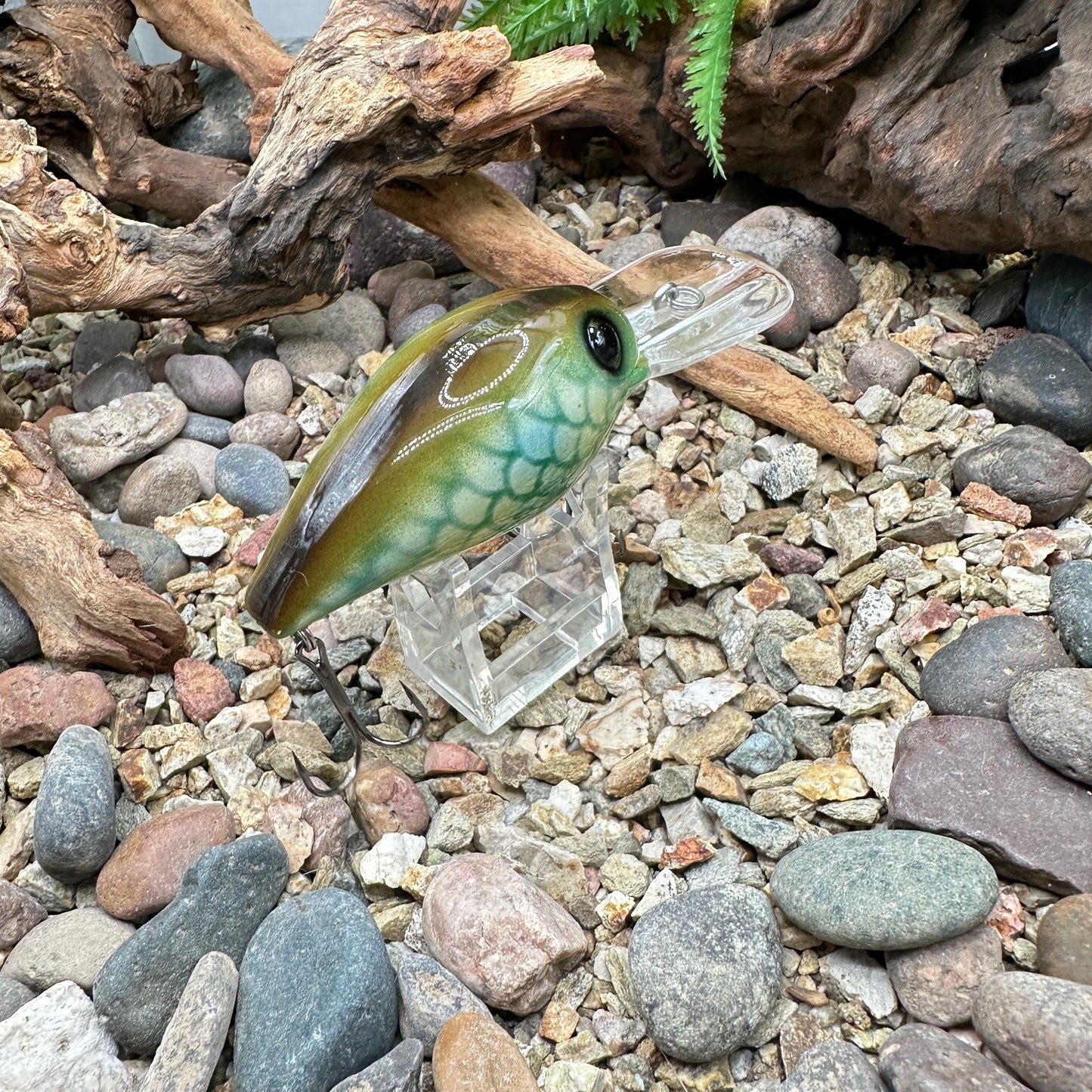 JKB DD Wiggle Wart